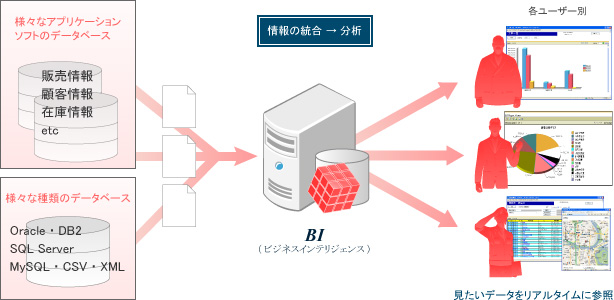 BIフロー図